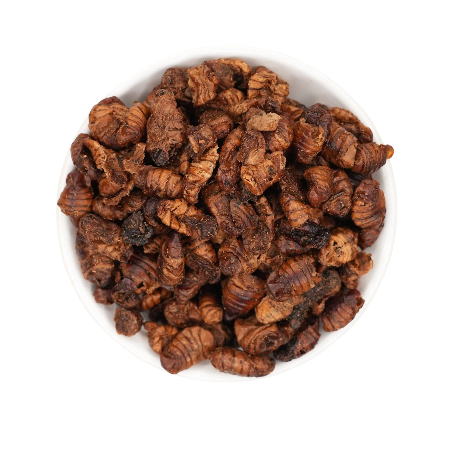 Acquistare bachi da seta 1 kg