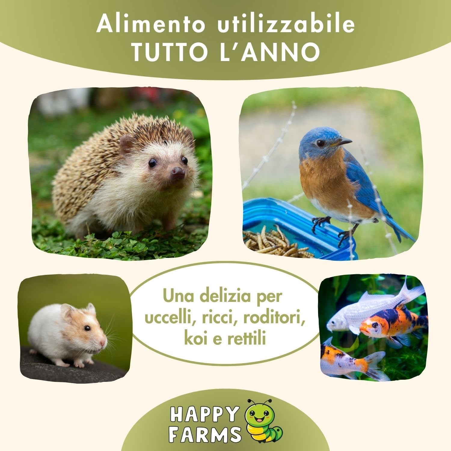 Mangime a base di insetti, larve di mosca soldato essiccate per animali