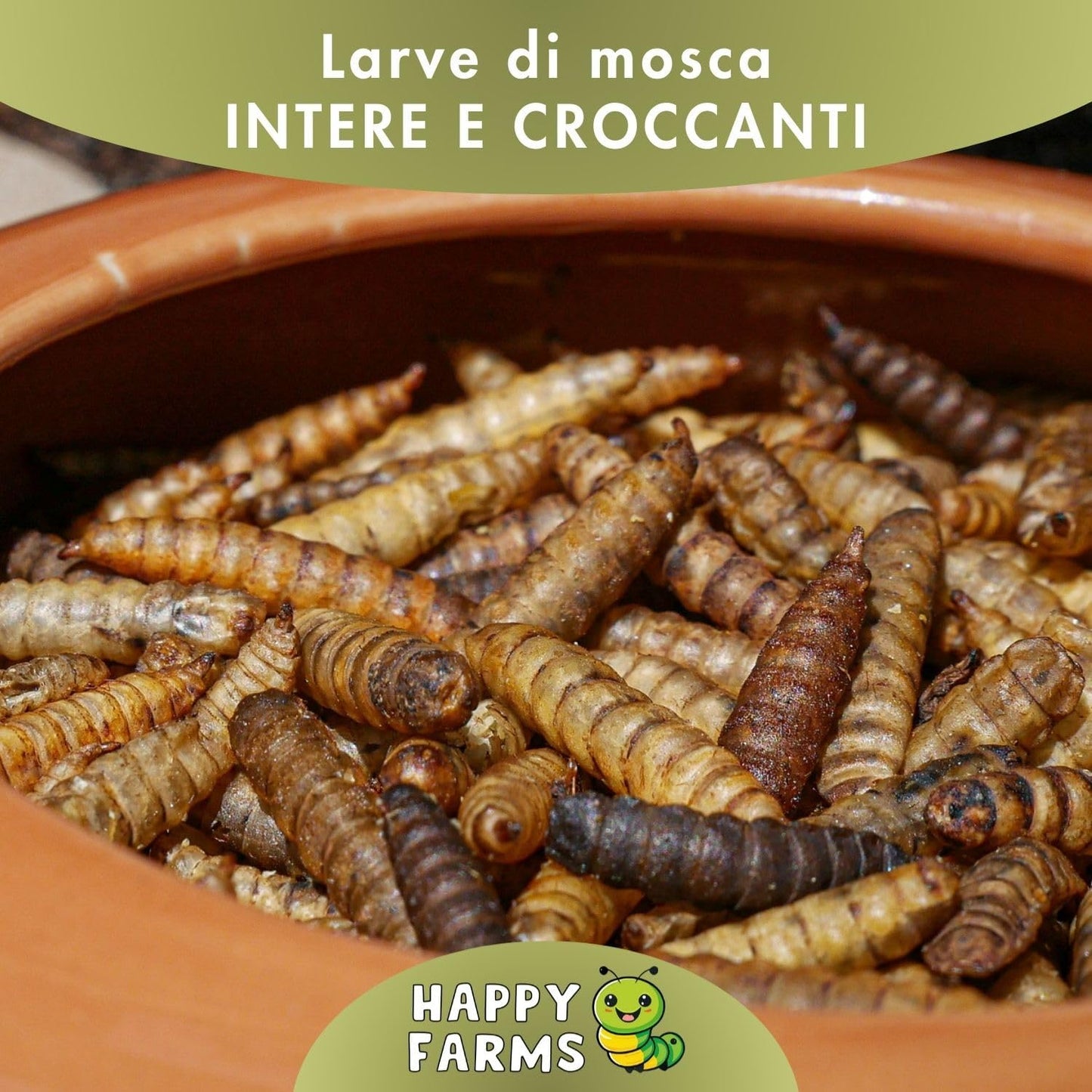 Primo piano di larve di mosca soldato essiccate intere.