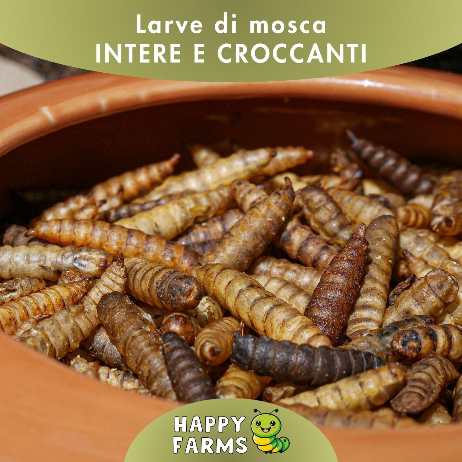 Primo piano di larve di mosca soldato essiccate intere.