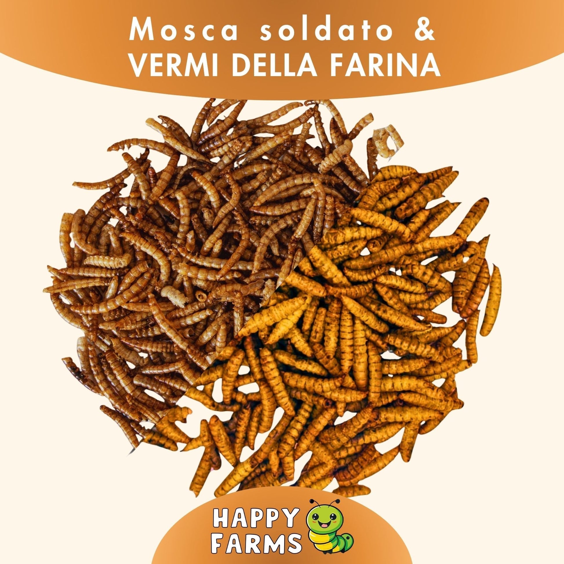 Miscela di insetti essiccati con larve di mosca soldato e vermi della farina per galline, uccelli, ricci, roditori, carpe koi e rettili.
