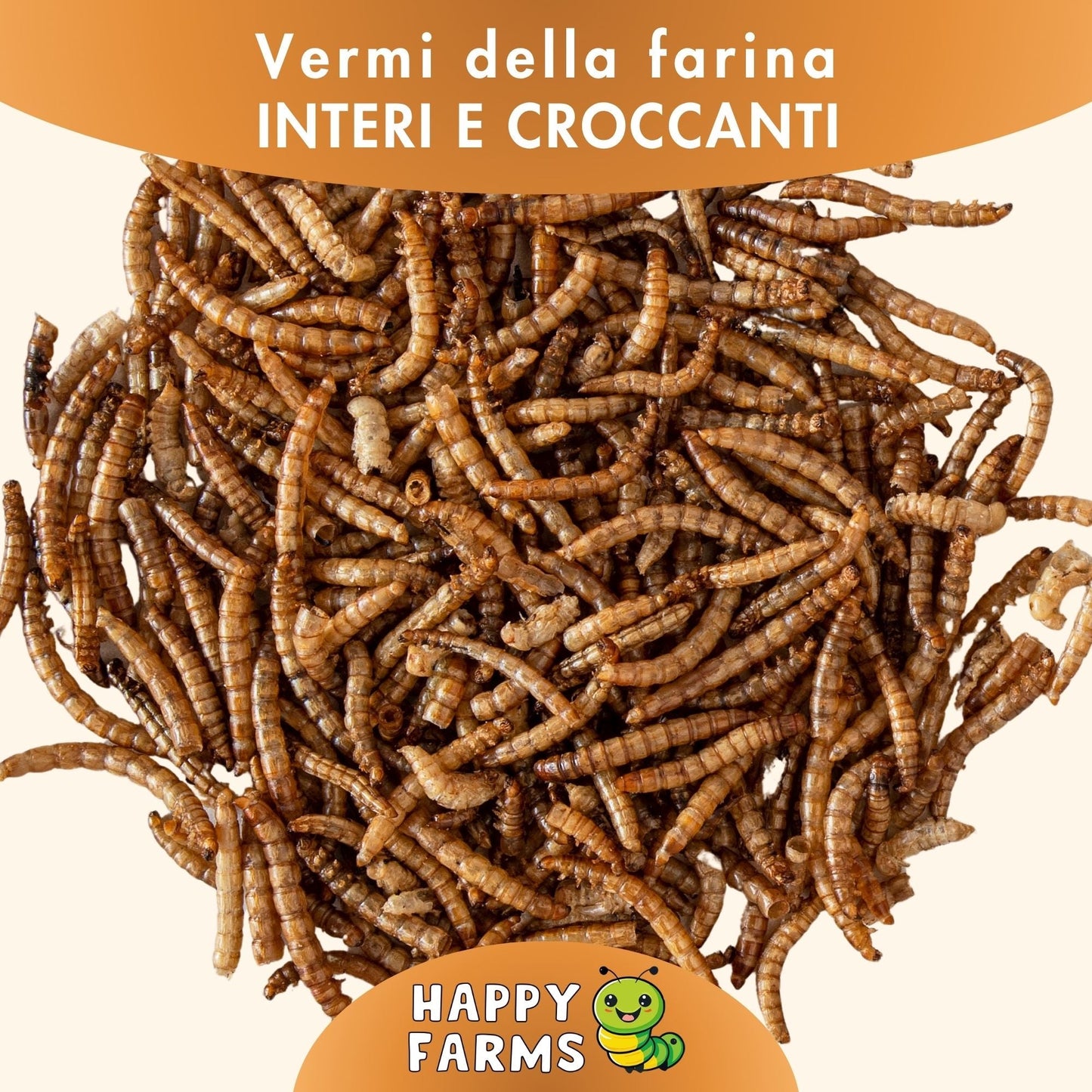 Vermi della farina essiccati interi e croccanti, alimento naturale ricco di proteine per galline, uccelli, ricci, roditori, carpe koi e rettili.